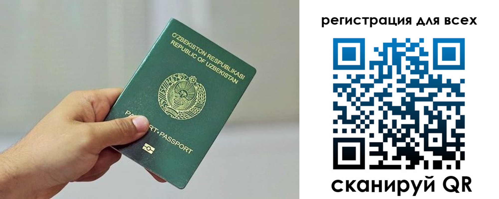 временная регистрация поиск в Воронежской области